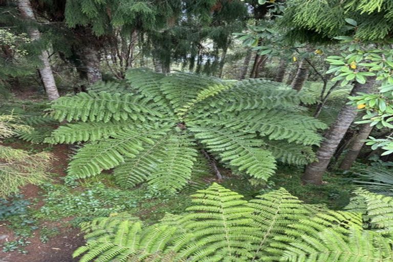 Photo of property in 77e Colwill Road, Massey, Auckland, 0614