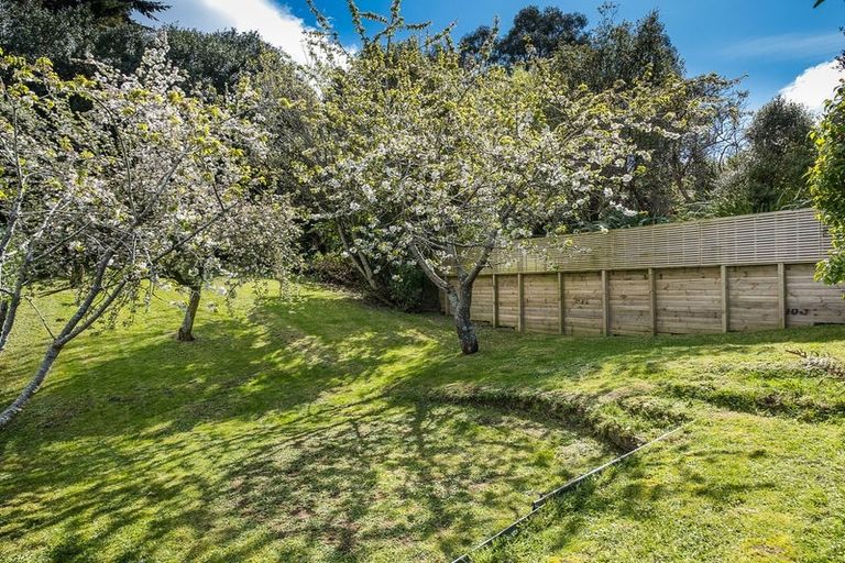 Photo of property in 19 Jellicoe Crescent, Kaikorai, Dunedin, 9010