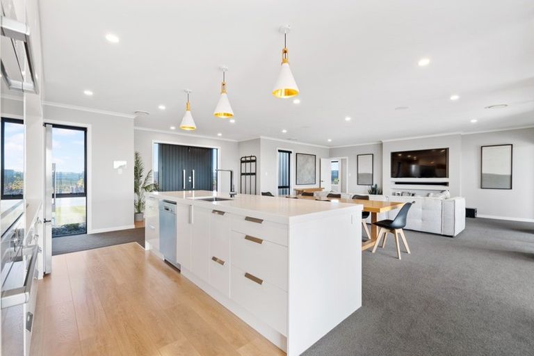 Photo of property in 149 Waller Road, Puni, Pukekohe, 2678