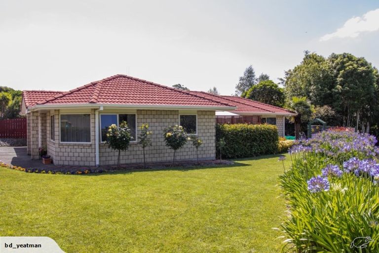 Photo of property in 86 Rowesdale Drive, Ohauiti, Tauranga, 3112