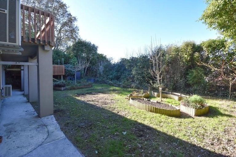 Photo of property in 45 Leven Street, Roslyn, Dunedin, 9010