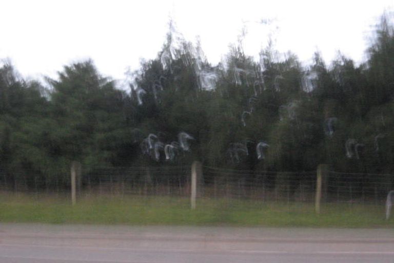 Photo of property in 100 Wansbeck Street, Holmes Hill, Oamaru, 9401