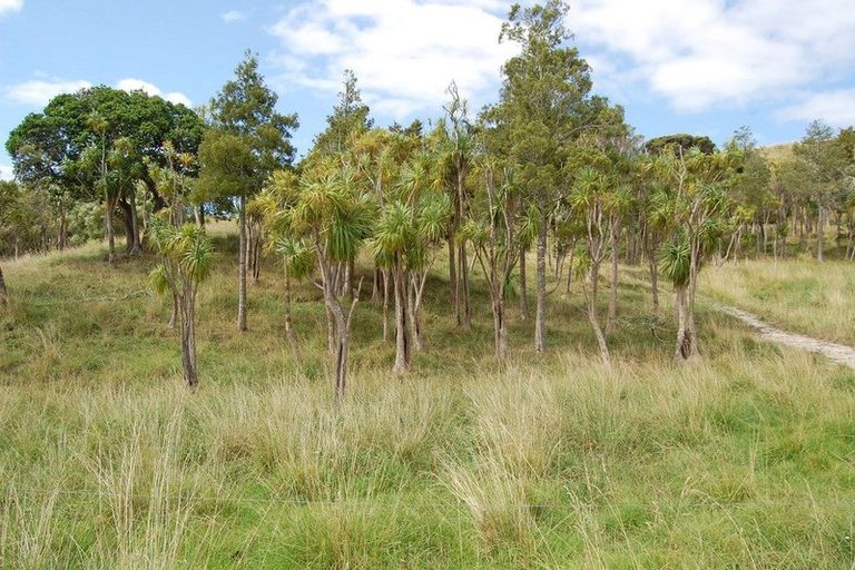 Photo of property in 135 Phillips Road, Kaiwaka, 0573