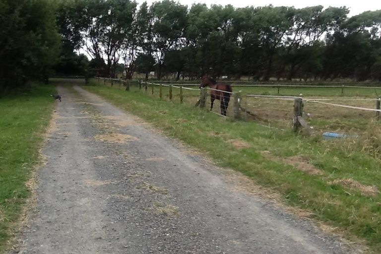 Photo of property in 29 Puruaha Road, Te Horo, Otaki, 5581