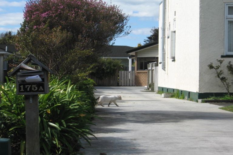 Photo of property in 177b Cook Street, West End, Palmerston North, 4410