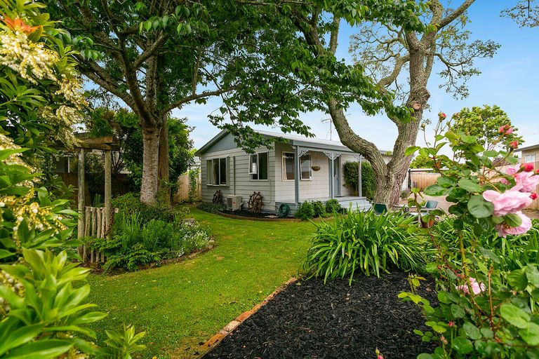 Photo of property in 113 Tennyson Street, Leamington, Cambridge, 3432