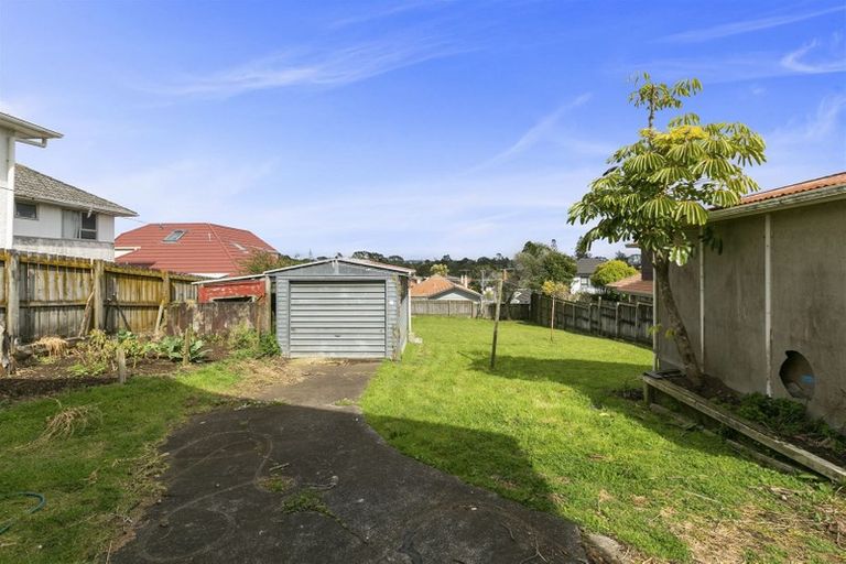 Photo of property in 17 Staveley Avenue, Mount Roskill, Auckland, 1041