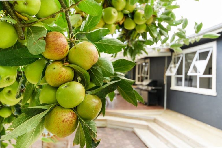 Photo of property in 1112 Rangiotu Road, Rangiotu, Palmerston North, 4477