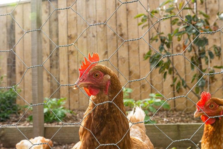 Photo of property in 76 Tennis Court Road, Raumati South, Paraparaumu, 5032