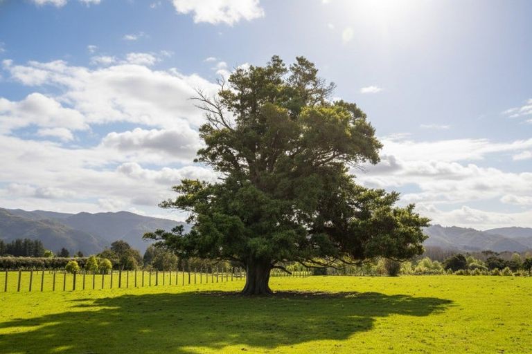 Photo of property in 284 Woodside Road, Woodside, Greytown, 5794