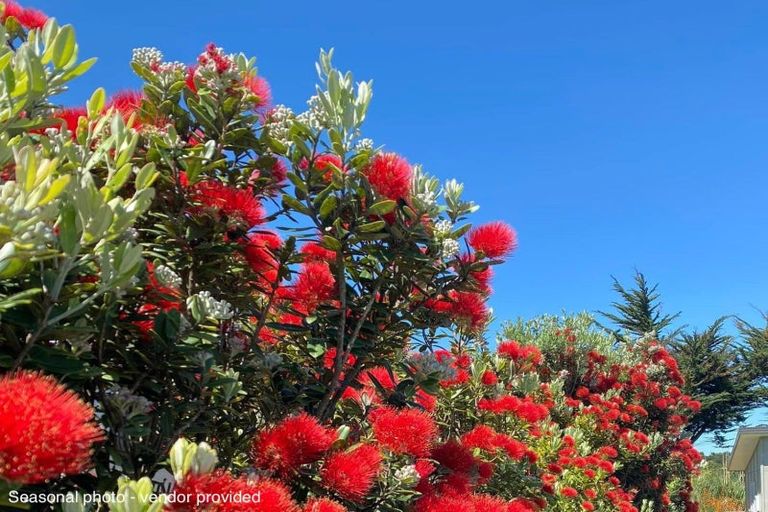 Photo of property in 5 Byron Brown Place, Otaki Beach, Otaki, 5512