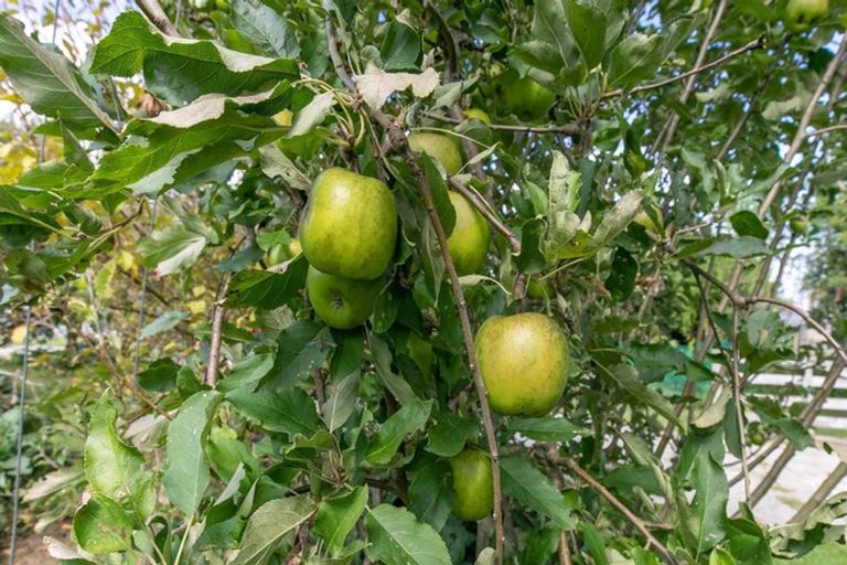 Photo of property in 6 Third Street, Waihou, Te Aroha, 3393