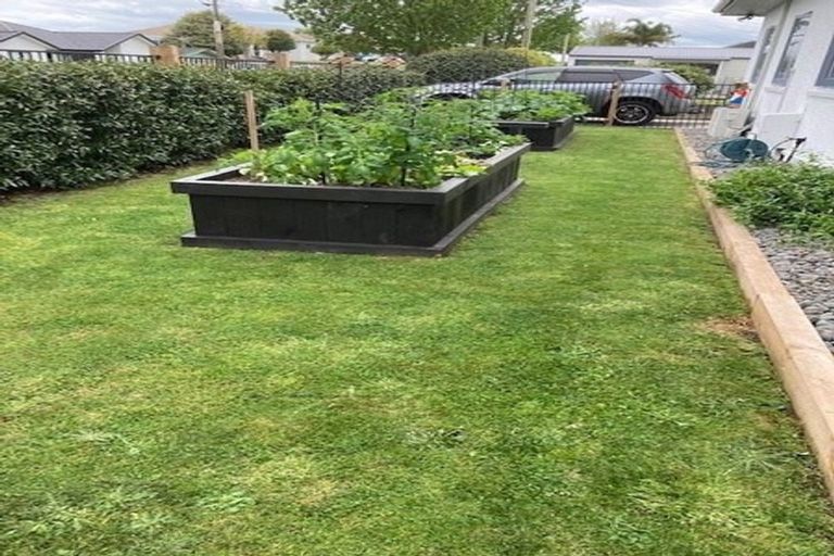 Photo of property in 21 Steele Road, Forest Lake, Hamilton, 3200