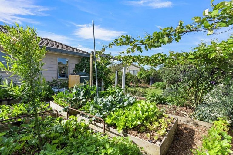 Photo of property in 10 Lutana Place, Burswood, Auckland, 2013