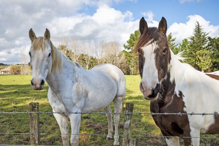 Photo of property in 1723 Cheltenham Hunterville Road, Waituna West, Rewa, 4780