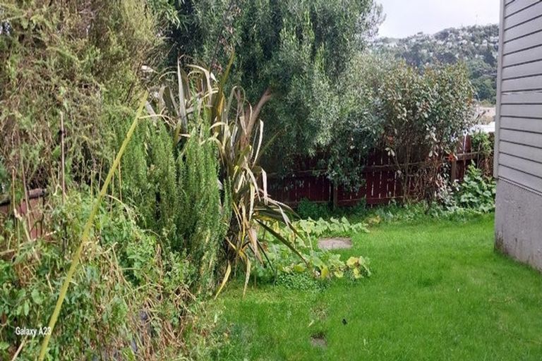 Photo of property in 15 Herald Terrace, Berhampore, Wellington, 6023