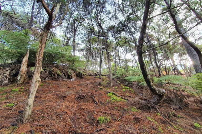 Photo of property in 10 Lavinia Place, Kawau Island, 0920