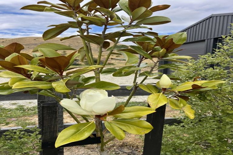 Photo of property in 2500 Tarras-cromwell Road, Tarras, Cromwell, 9383