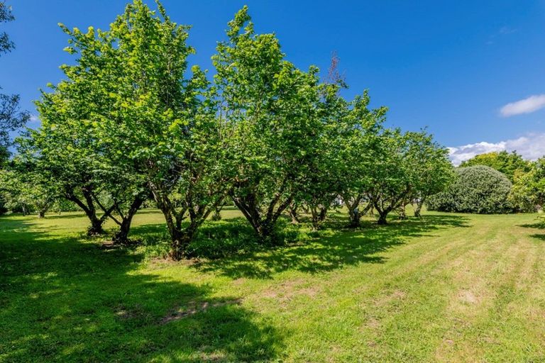 Photo of property in 49 Vista Road, Ohau, Levin, 5570