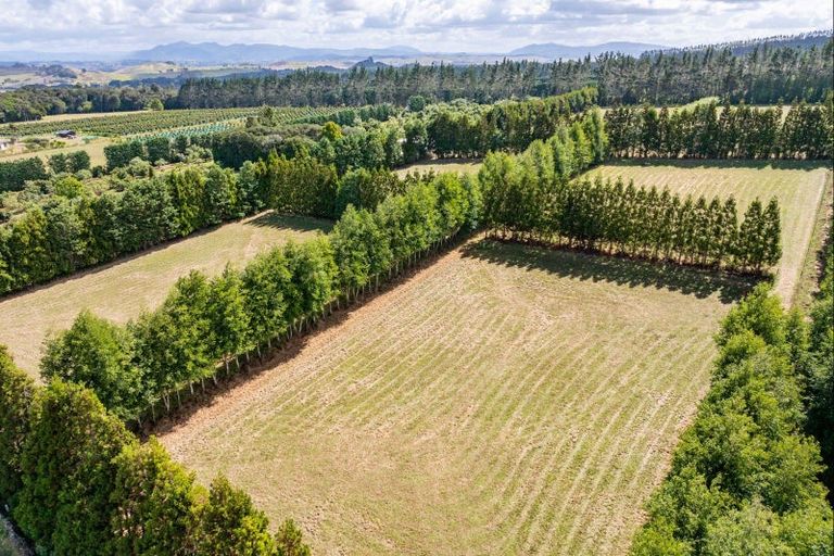 Photo of property in 176 Whatitiri Road, Maungatapere, Whangarei, 0179