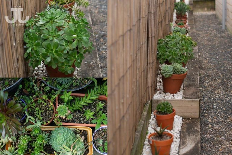 Photo of property in 60b Forrester Drive, Welcome Bay, Tauranga, 3112