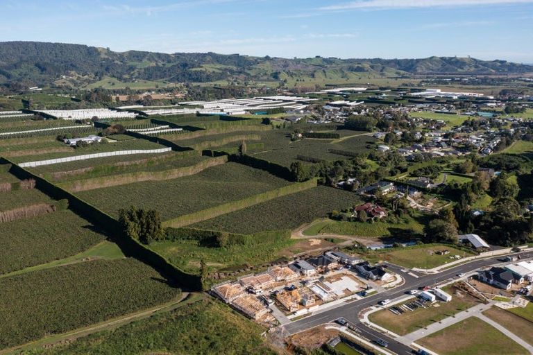 Photo of property in 81 Dunlop Road, Te Puke, 3119