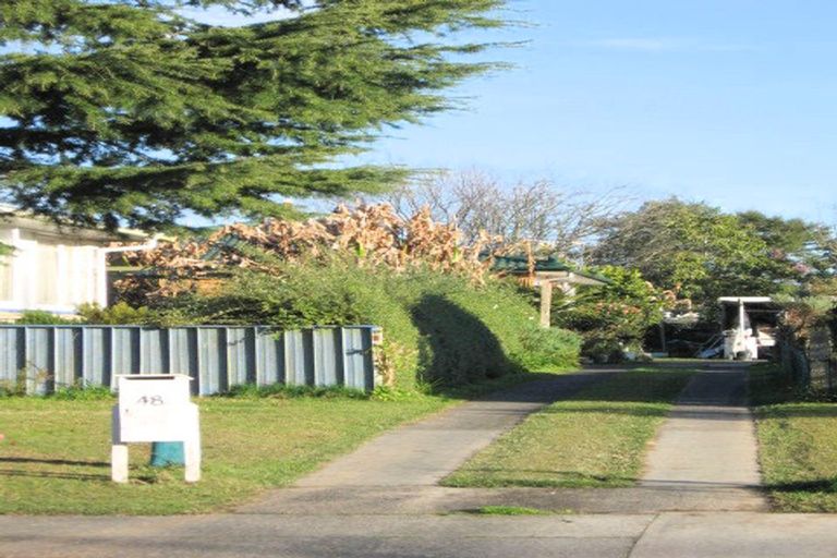 Photo of property in 48 Winstone Avenue, Chartwell, Hamilton, 3210