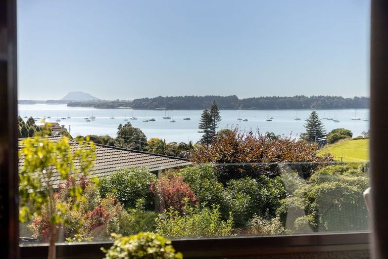 Photo of property in 17 Farnell Court, Omokoroa, 3114