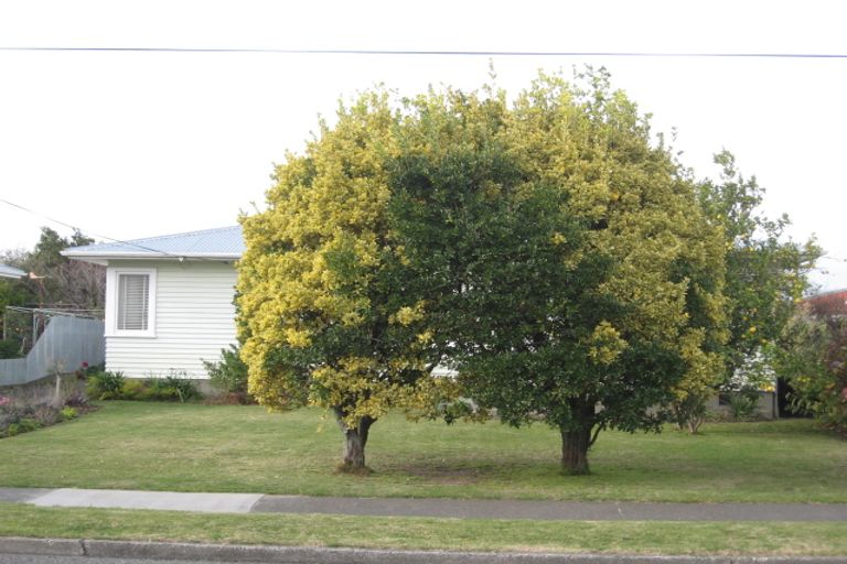 Photo of property in 77 Masefield Avenue, Maraenui, Napier, 4110