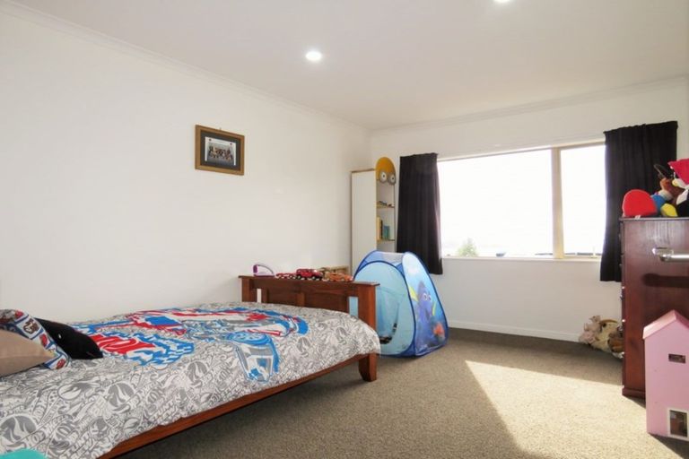 Photo of property in 91 Buckley Road, Shannon, Palmerston North, 4474