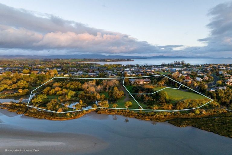 Photo of property in 20 Tinopai Drive, Omokoroa, 3114