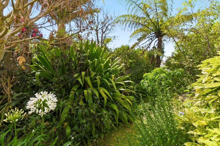 Photo of property in 75 Liverpool Street, Levin, 5510