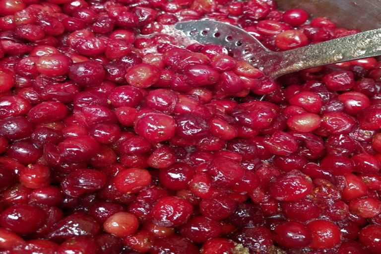 Photo of property in 1218 Old Christchurch Road, Awatuna, Hokitika, 7882