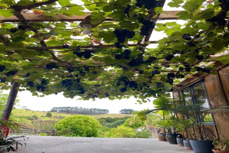 Photo of property in 330 Franklin Road, Paparoa, 0571