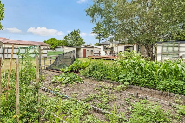 Photo of property in 17 Cryer Street, Southbridge, 7602