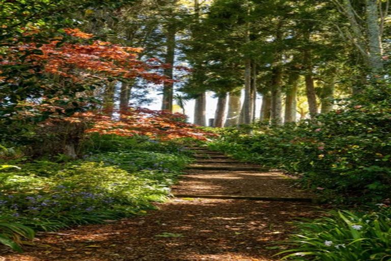 Photo of property in 351 Hossack Road, Ngakuru, Rotorua, 3077