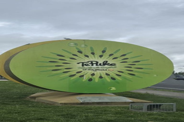 Photo of property in 50b Moehau Street, Te Puke, 3119