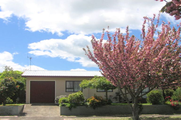 Photo of property in 17 Barnard Street, Matamata, 3400