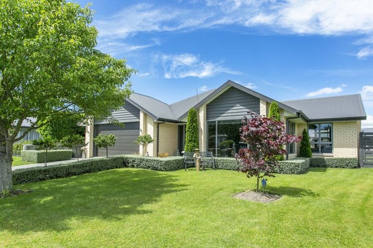 Photo of property in 7 Primrose Place, Allenton, Ashburton, 7700