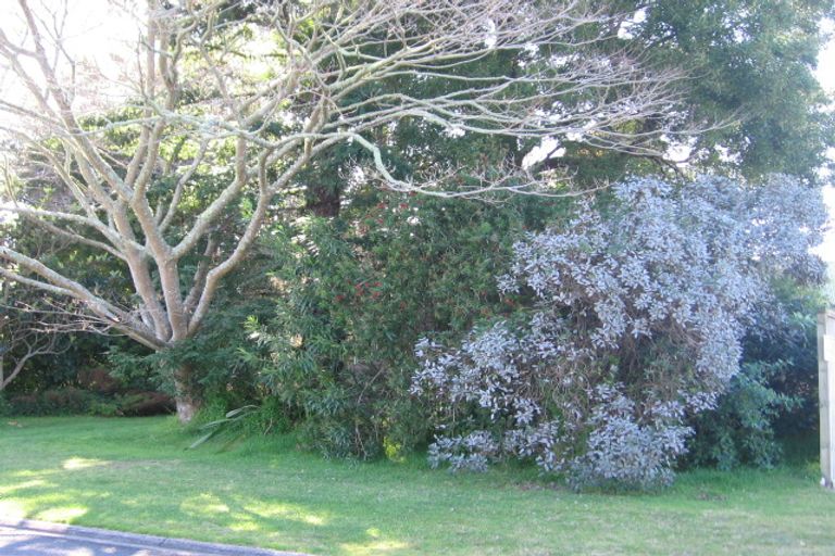 Photo of property in 91 Oyster Drive, Cooks Beach, Whitianga, 3591