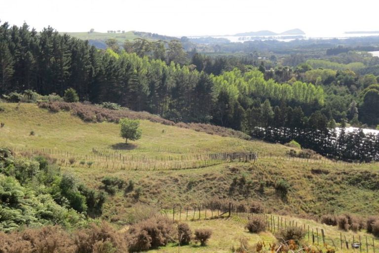 Photo of property in 260a Willoughby Road, Tahawai, Katikati, 3170