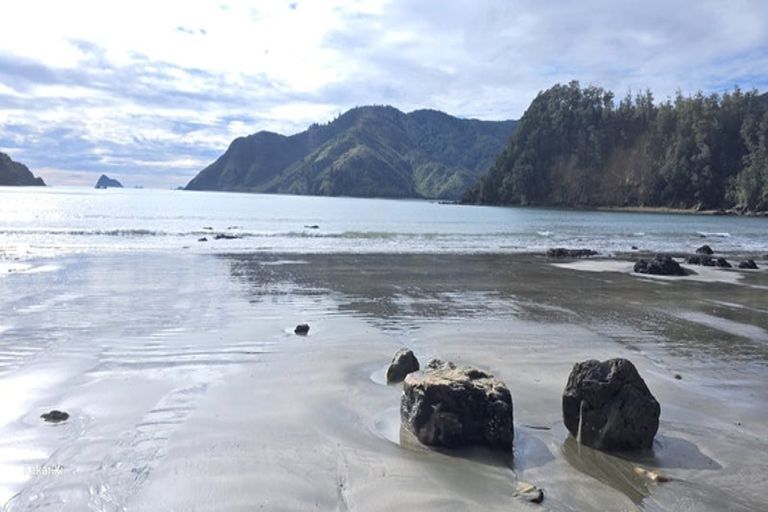 Photo of property in 118 Renata Road, Okiwi Bay, 7193