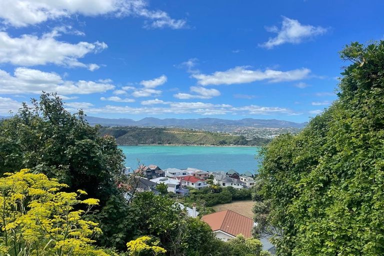 Photo of property in 6b Peranga Terrace, Hataitai, Wellington, 6021