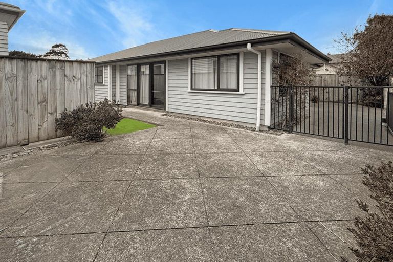 Photo of property in 169 Ruahine Street, Roslyn, Palmerston North, 4414