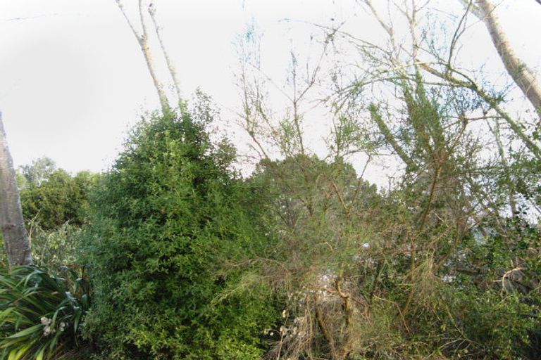 Photo of property in 50 Bernera Street, Karitane, Waikouaiti, 9471