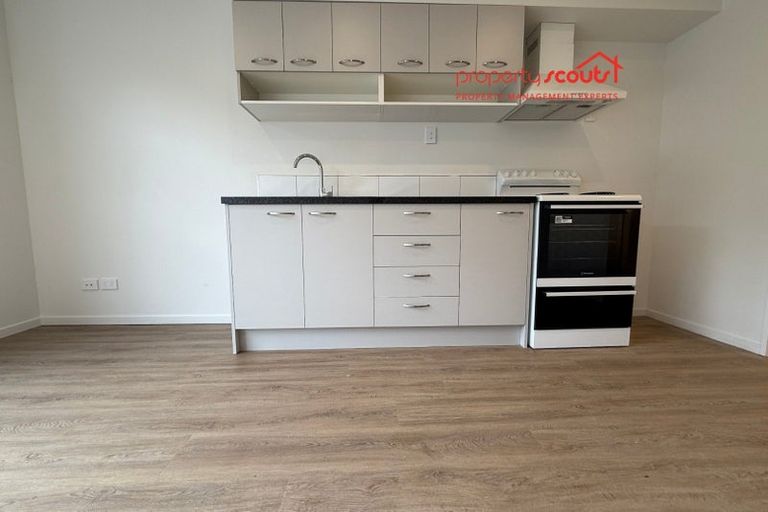 Photo of property in 77e Bordesley Street, Phillipstown, Christchurch, 8011