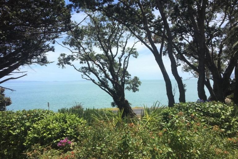 Photo of property in 686 Thames Coast Sh25 Road, Ruamahunga, Thames, 3575