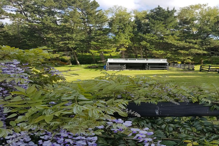 Photo of property in 289 Wright Road, Aongatete, Katikati, 3181