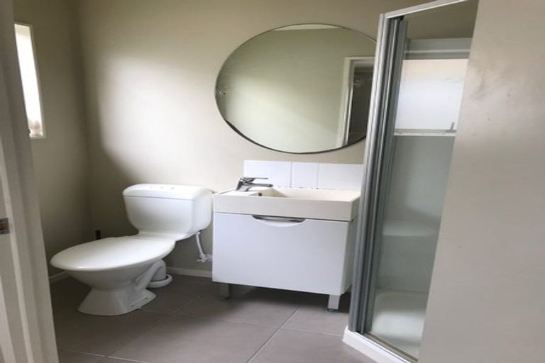 Photo of property in 20 Birchlands Road, Flat Bush, Auckland, 2019