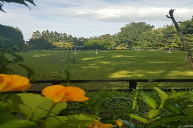 Photo of property in 289 Wright Road, Aongatete, Katikati, 3181